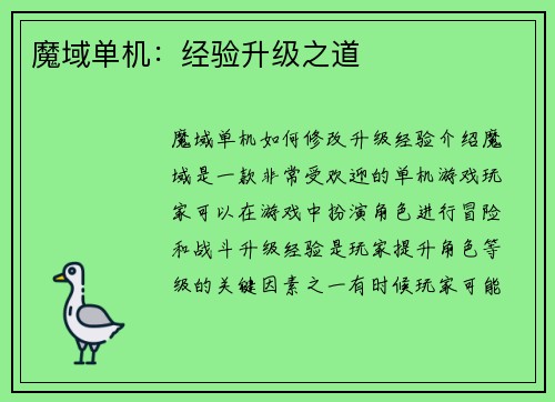 魔域单机：经验升级之道